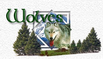 Wolves �2002 WDD  Lady Wolf
